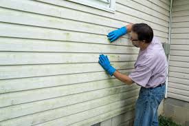 Best Aluminum Siding Installation  in Blountstown, FL